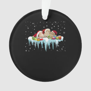 Rabbit Gift   Three Rabbit Really Lovely Christmas Ornament