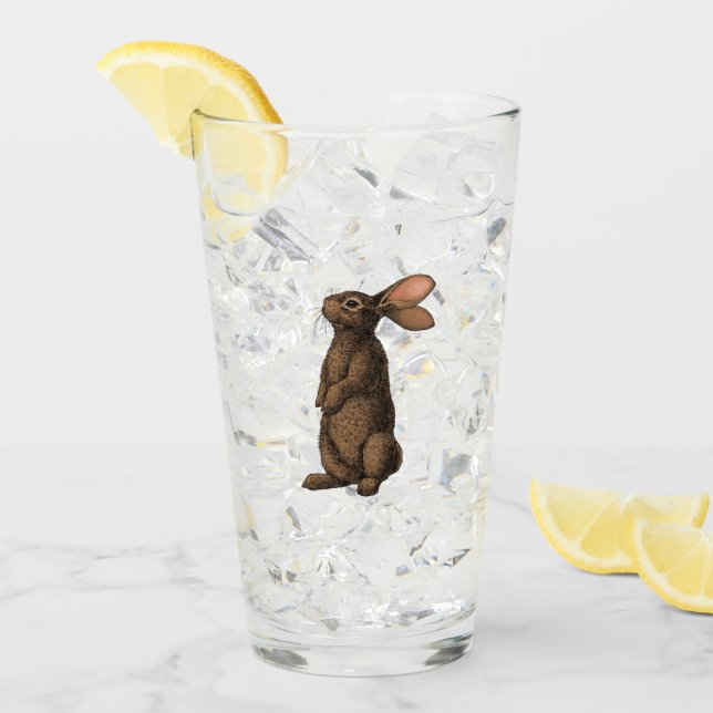Rabbit Glass (Front Ice)