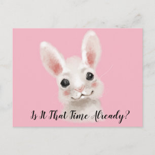 Rabbit Greetings Postcard