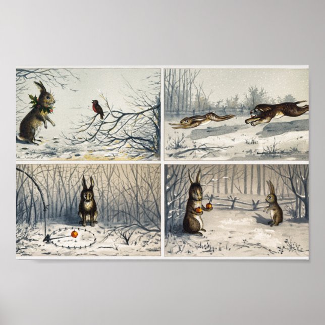 Rabbit Illustration Poster (Front)