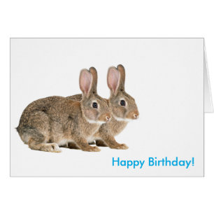 Rabbit image for Birthday greeting Card