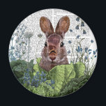 Rabbit in a Cabbage Patch Magnet<br><div class="desc">Cabbage Patch Rabbit 6 by Fab Funky.  | 192180D</div>