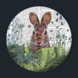 Rabbit in a Cabbage Patch Magnet<br><div class="desc">Cabbage Patch Rabbit 6 by Fab Funky.  | 192180D</div>
