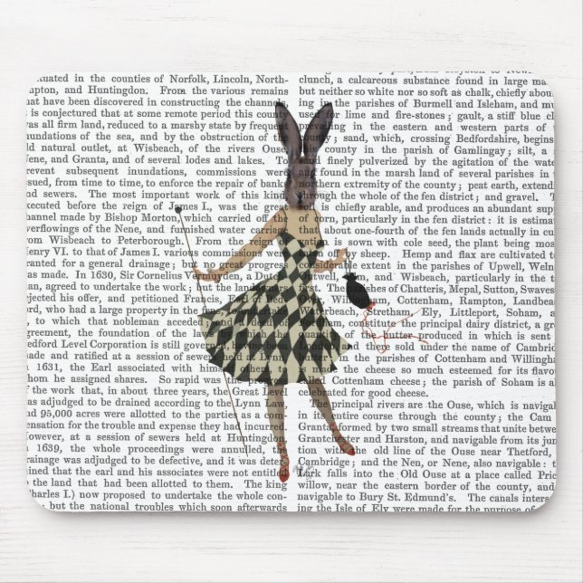 Rabbit in Black White Dress Mouse Pad (Front)