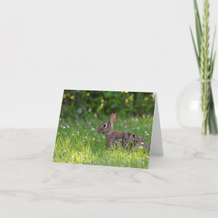 Rabbit in clover blank inside notecard. thank you card