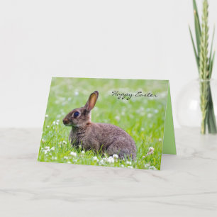 Rabbit in Flowers Custom Easter Card