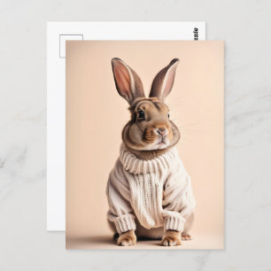 Rabbit in sweater, Postcrossing Postcard