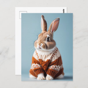 Rabbit in sweater, Postcrossing Postcard