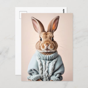 Rabbit in sweater, Postcrossing Postcard