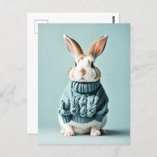 Rabbit in sweater, Postcrossing Postcard