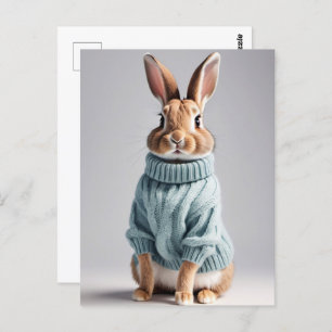 Rabbit in sweater, Postcrossing Postcard