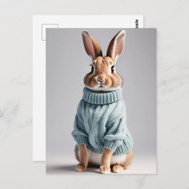 Rabbit in sweater, Postcrossing Postcard (Front/Back)