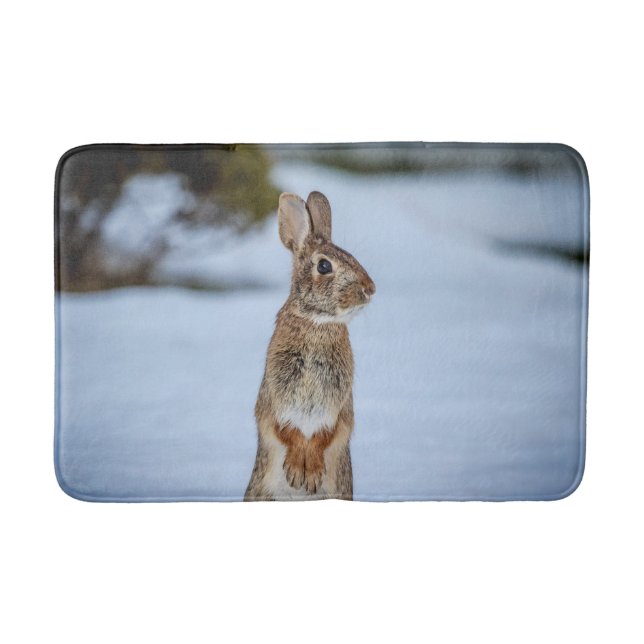 Rabbit in the snow bath mat (Front)