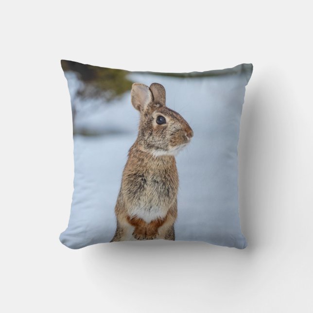 Rabbit in the snow cushion (Front)