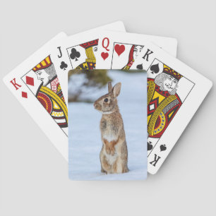 Rabbit in the snow playing cards