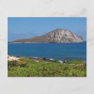 Rabbit Island Oahu Hawaii Postcard