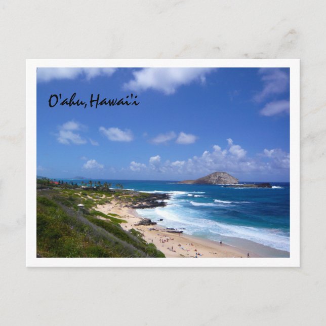 Rabbit Island Postcard (Front)