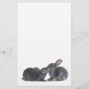 Rabbit Kiss Stationery