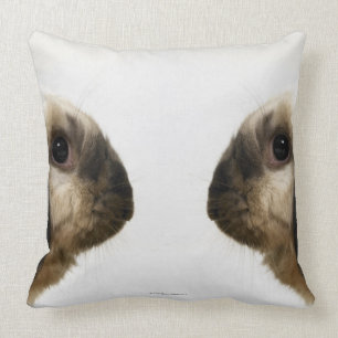 Rabbit looking at rabbit cushion