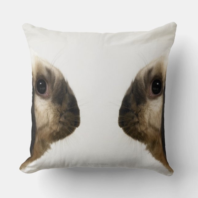 Rabbit looking at rabbit cushion (Front)