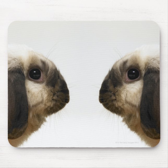 Rabbit looking at rabbit mouse pad (Front)