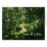 Rabbit- Loss of a Pet