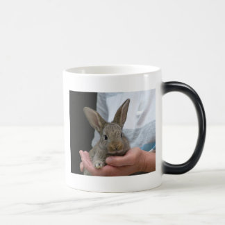 rabbit magic mug