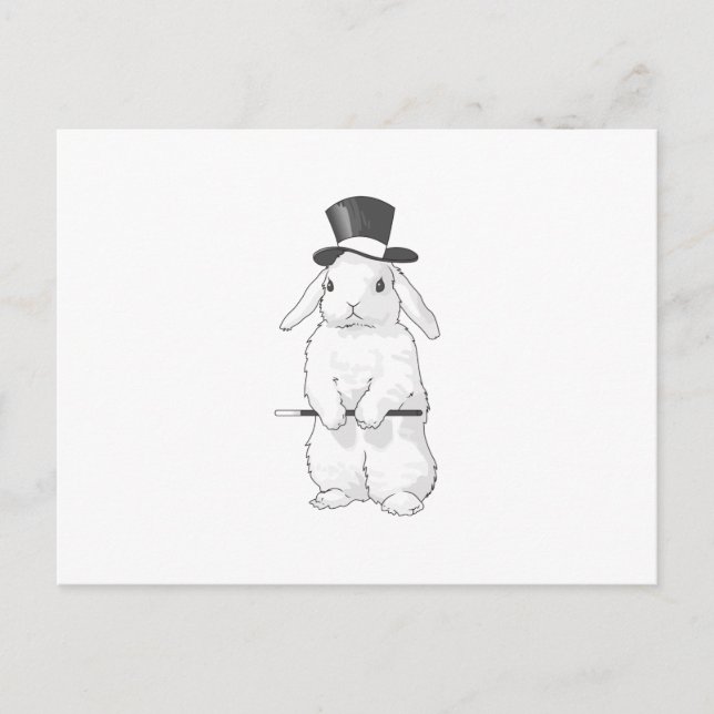 RABBIT MAGICIAN POSTCARD (Front)