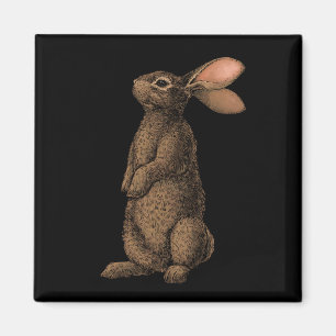 Rabbit Magnet