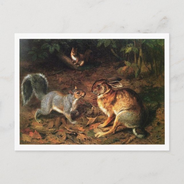 Rabbit Meet Squirrel Postcard (Front)