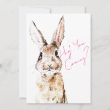 Rabbit Messenger