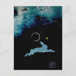 Rabbit Moon Postcard