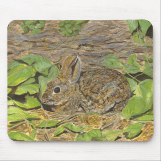 Rabbit mousepad