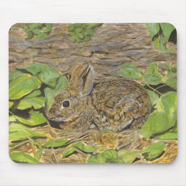 Rabbit mousepad (Front)
