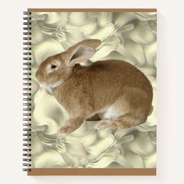 rabbit  notebook (Front)