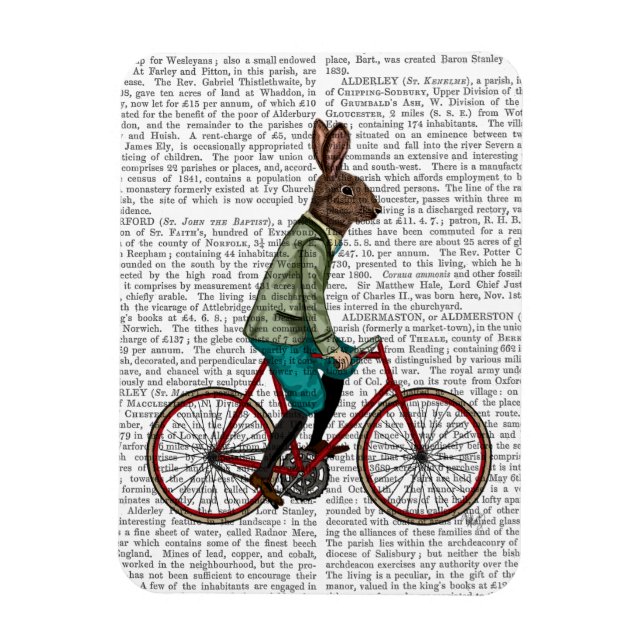 Rabbit On Bike 2 Magnet (Vertical)