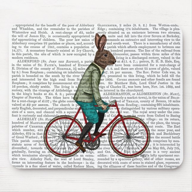 Rabbit On Bike 2 Mouse Pad (Front)