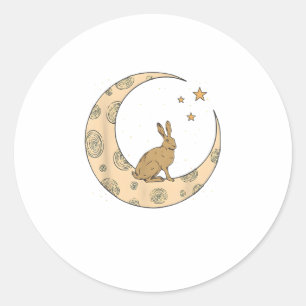 Rabbit On The Moon Bunny  Classic Round Sticker