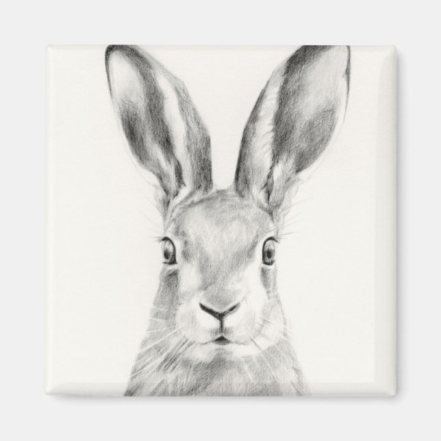 Rabbit Pencil Drawing Magnet (Front)