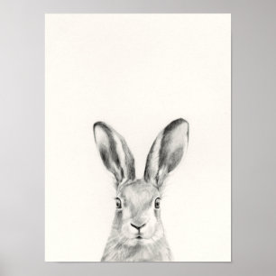 Rabbit Pencil Drawing Poster