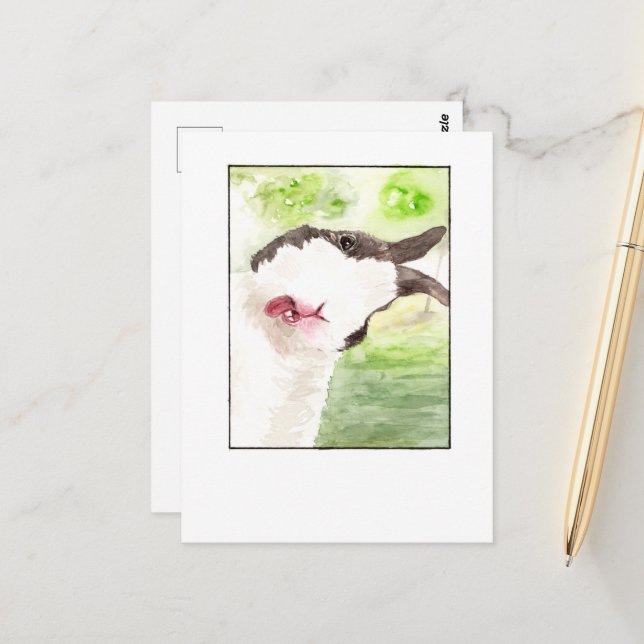 Rabbit Pet Selfie- DNM Postcards (Front/Back In Situ)