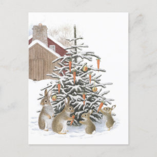 Rabbit pine postcard