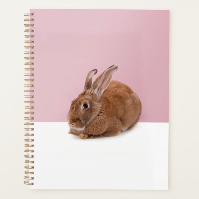 Rabbit Planner (Front)