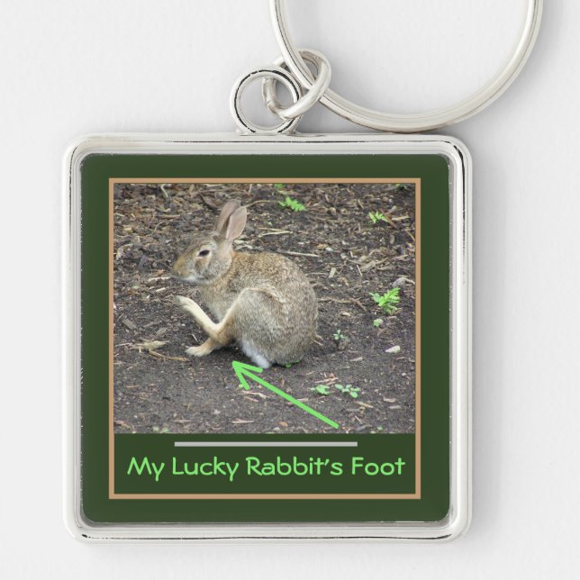 RABBIT POISED TO SCRATCH EAR/MY LUCKY RABBIT'S FOO KEY RING (Front)