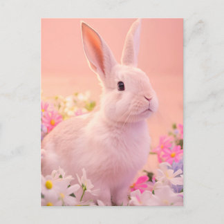 Rabbit Portrait 089 Postcard