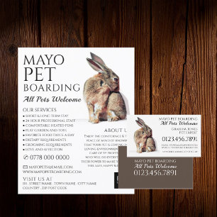 Rabbit Portrait, Pet Boarding Advertising Flyer
