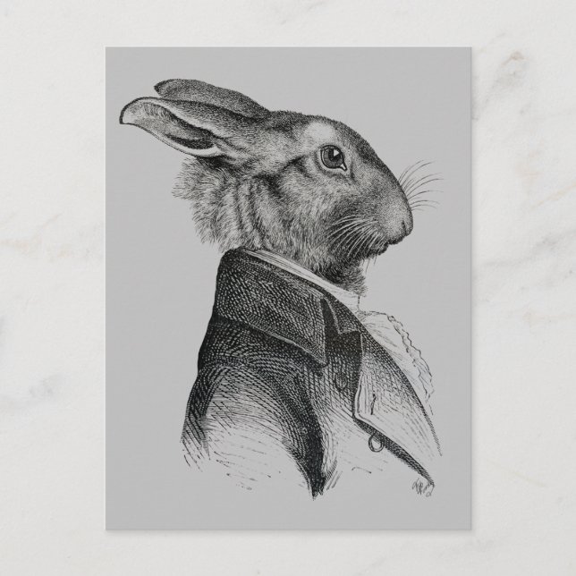Rabbit Portrait Profile Postcard (Front)