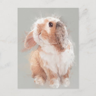 Rabbit Postcard No.30