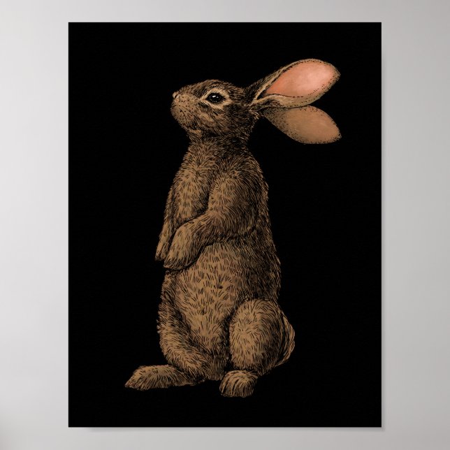 Rabbit Poster (Front)