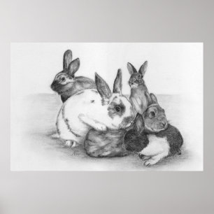 Rabbit Poster
